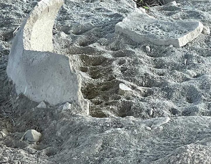 WhatsApp Image 2022-11-04 at 17.22.40