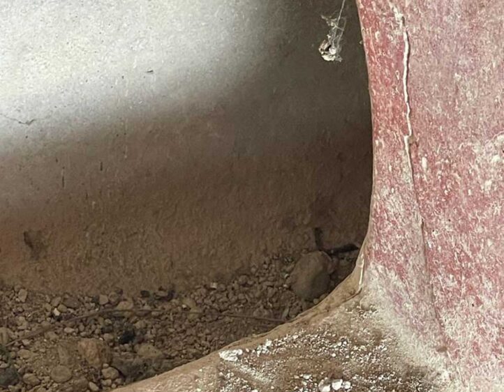 WhatsApp Image 2022-11-04 at 17.22.41 (1)